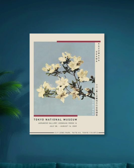 TOKYO NATIONAL MUSEUM|WHITE FLOWER| ROOM DECOR
