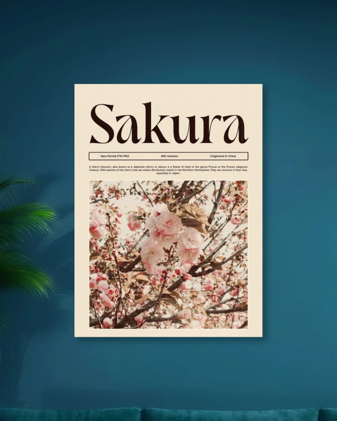 SAKURA|ROOM DECOR
