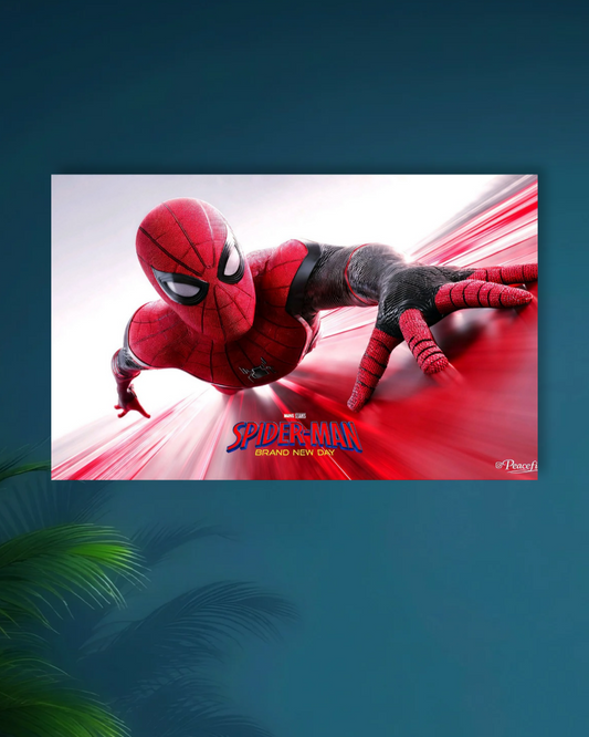 SPIDERMAN|BRAND NEW DAY